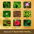 Navratna Gold Ayurvedic Cool Oil